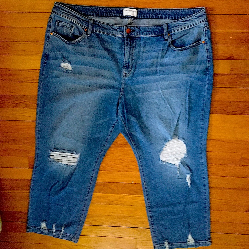 Lane Bryant never worn classic straight denim.